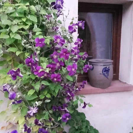 Lägenhet Au Jardin Romantique Pour 2 Personnes *