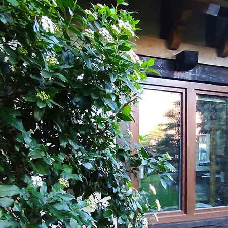 Au Jardin Romantique Pour 2 Personnes Langensoultzbach