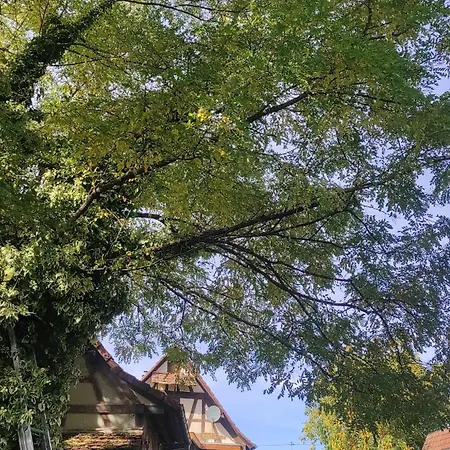 Au Jardin Romantique Pour 2 Personnes Lägenhet *