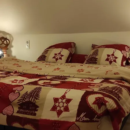 Lägenhet Au Jardin Romantique Pour 2 Personnes Langensoultzbach