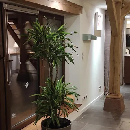 Au Jardin Romantique Pour 2 Personnes Lägenhet Langensoultzbach