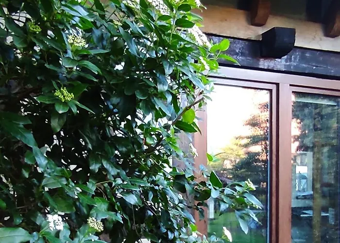 Au Jardin Romantique Pour 2 Personnes Langensoultzbach