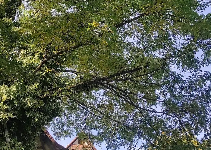 Au Jardin Romantique Pour 2 Personnes Appartement *