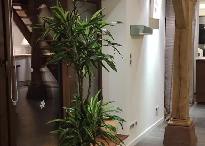 Au Jardin Romantique Pour 2 Personnes Appartement Langensoultzbach